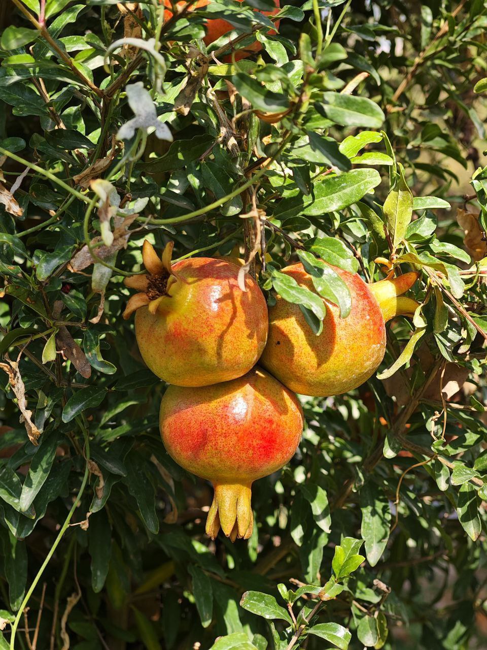 ЛЮБИТЬ – ЗНАЧИТ БЕРЕЧЬ